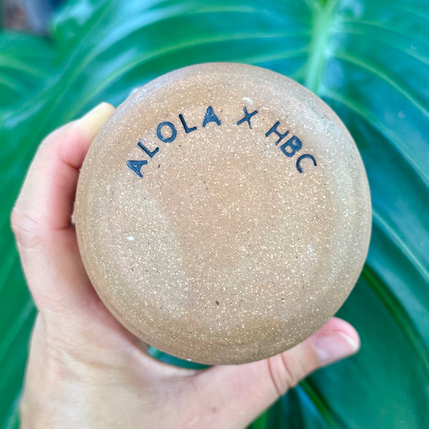 Alola X Hair By Cassie Collab