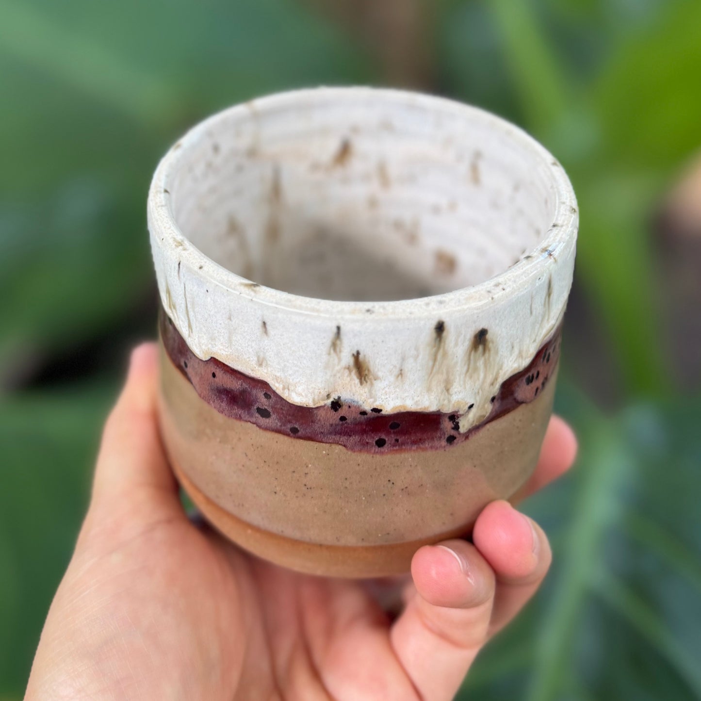 Alola X Hair By Cassie Collab