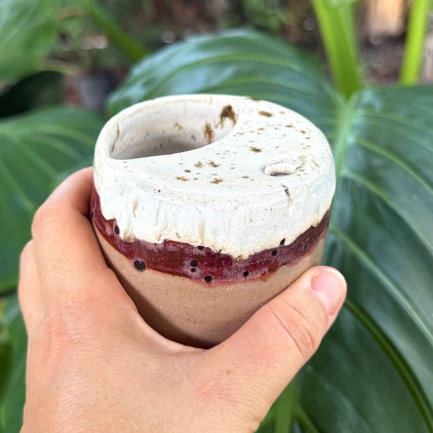 Alola X Hair By Cassie Collab