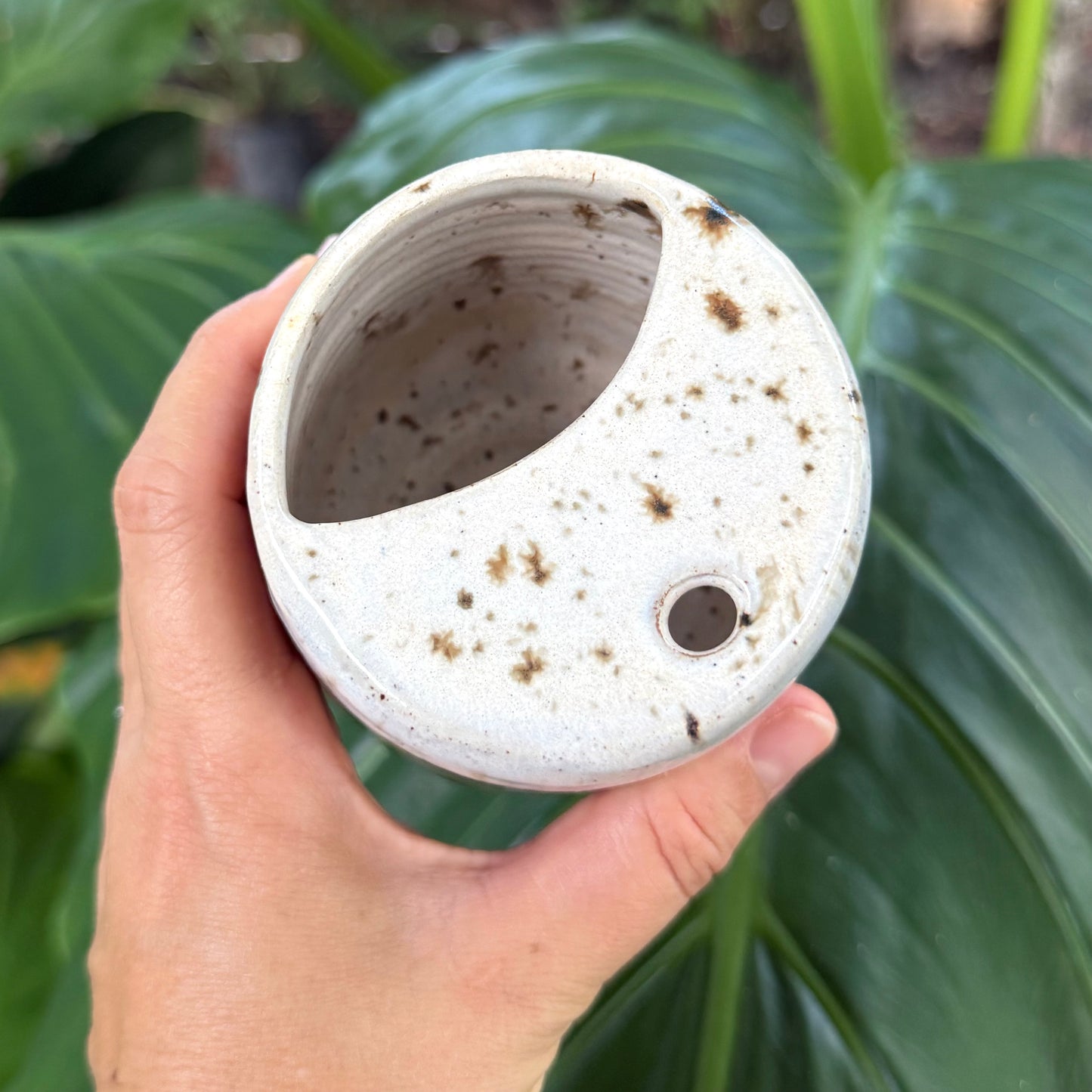 Alola X Hair By Cassie Collab